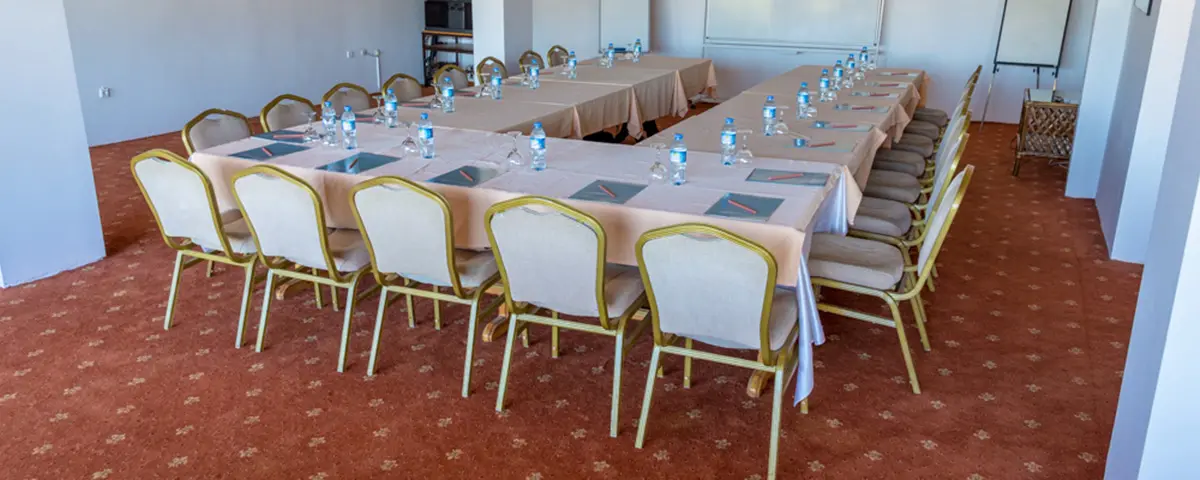 Конференции!