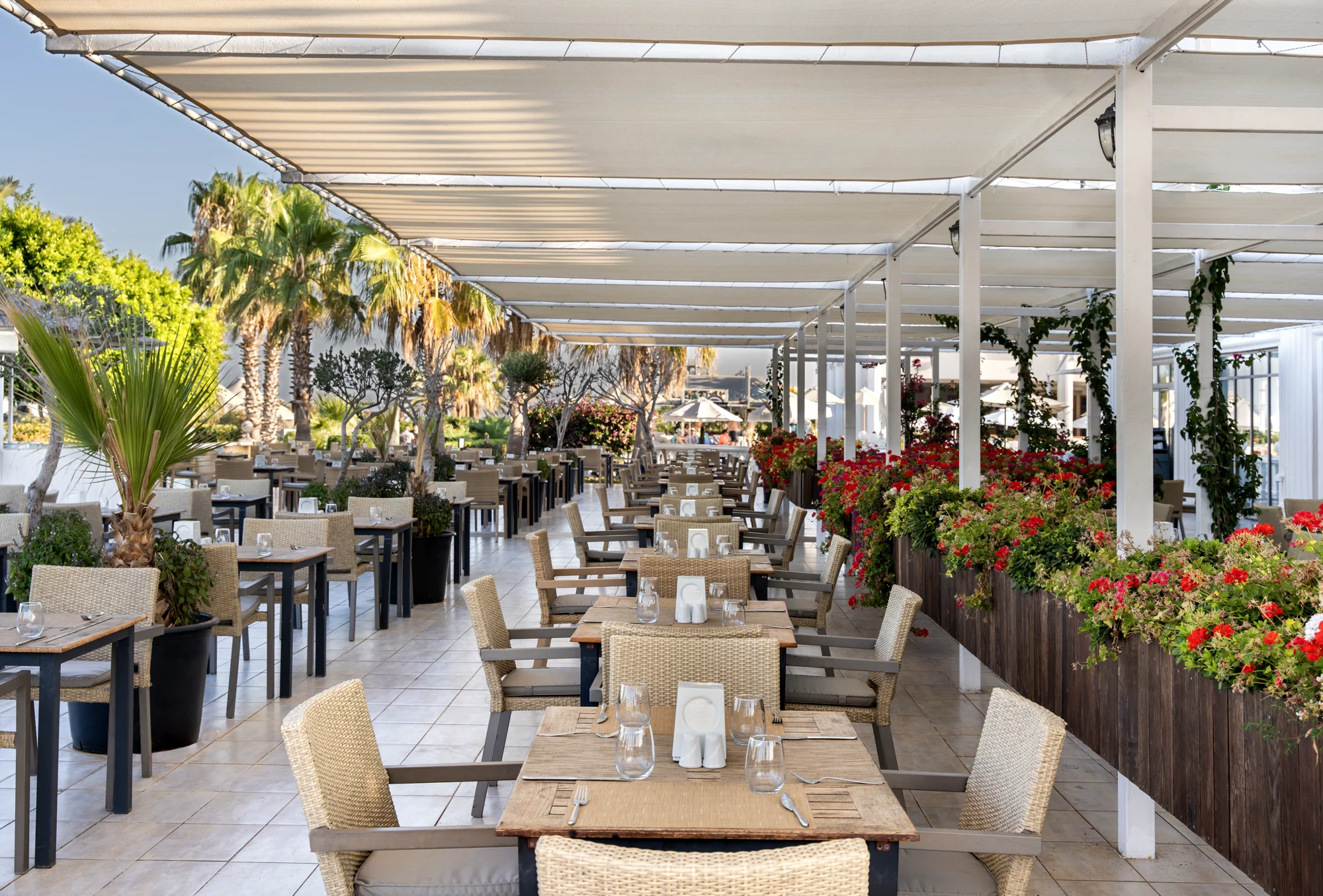 Agora Hauptrestaurant!