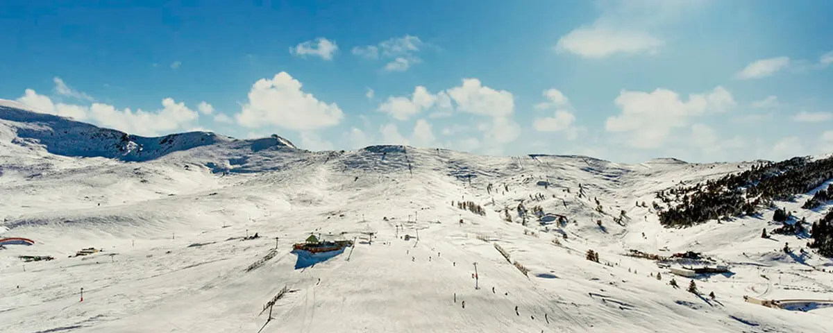 Ski!