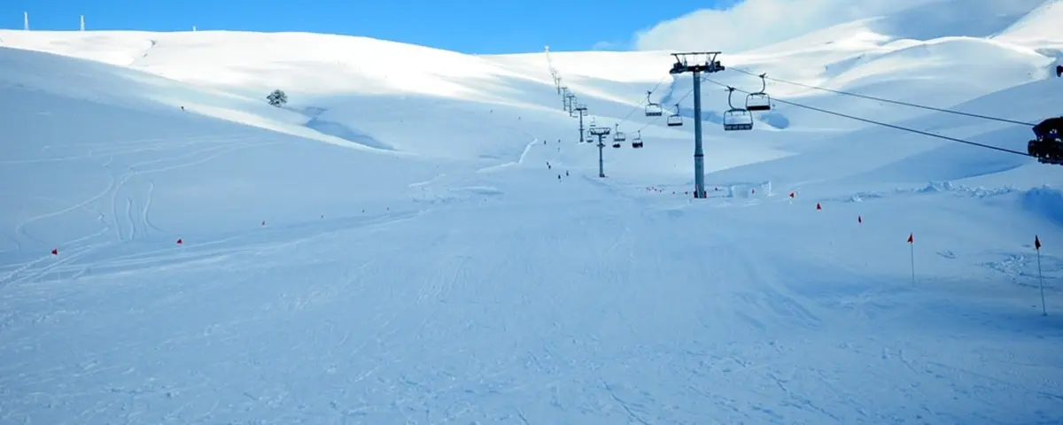 Ski!